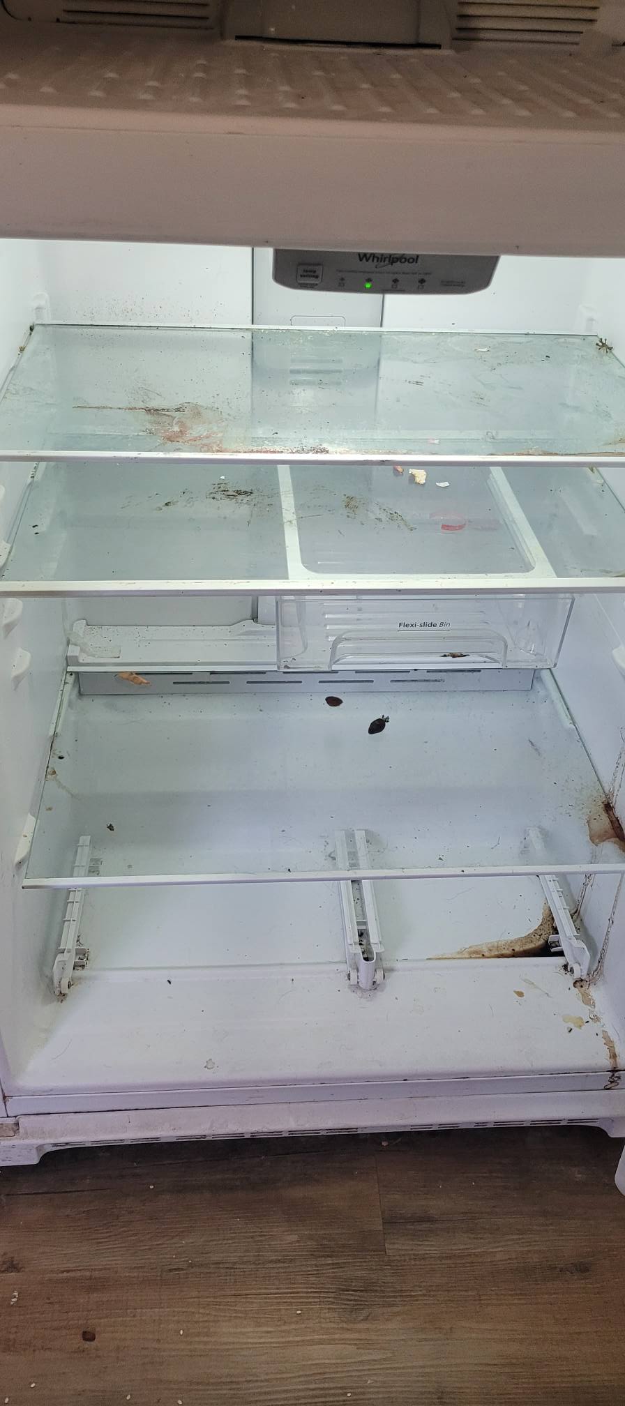 Clean refrigerator after cleaning